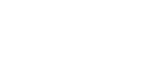 WILDE IRISH CHOCOLATES